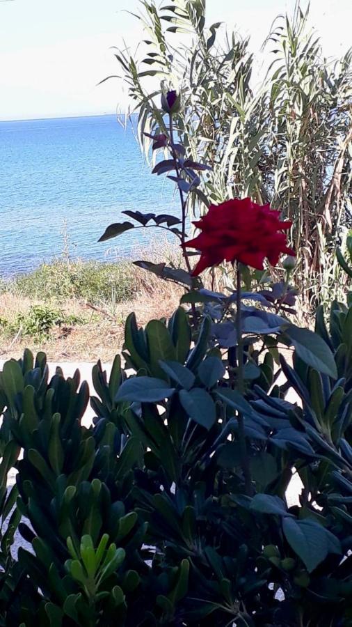 Covo Dei Marinai Villa Cava dʼAliga Exterior foto
